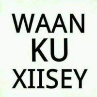 Ayaan Cllaahi Maxame (@ayaanmaxame) 's Twitter Profile