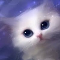 TimePaw (@whitetimepaw) 's Twitter Profile