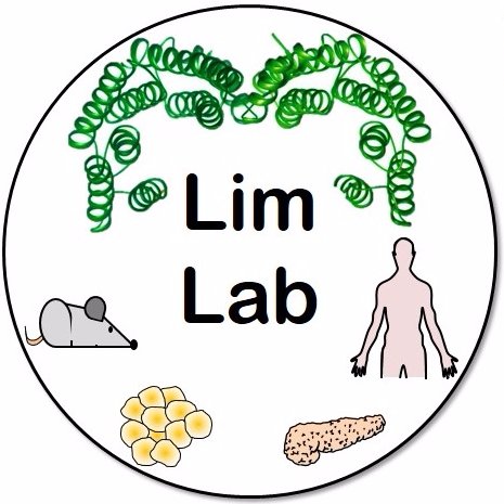Lim Lab Profile