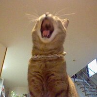 ゑでぃまぁこん (@eddiemarcon) 's Twitter Profile Photo