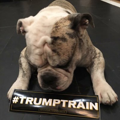 trumptrain100's profile picture. hunting and fishing