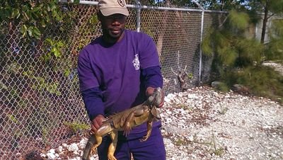 TelDixon's profile picture. Not now....