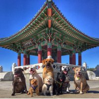 Ruff Cutz DTLA (@ruffcutzdtla) 's Twitter Profile