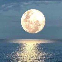 Dr. Naser Almowaizri (@drnas1981) Twitter profile photo