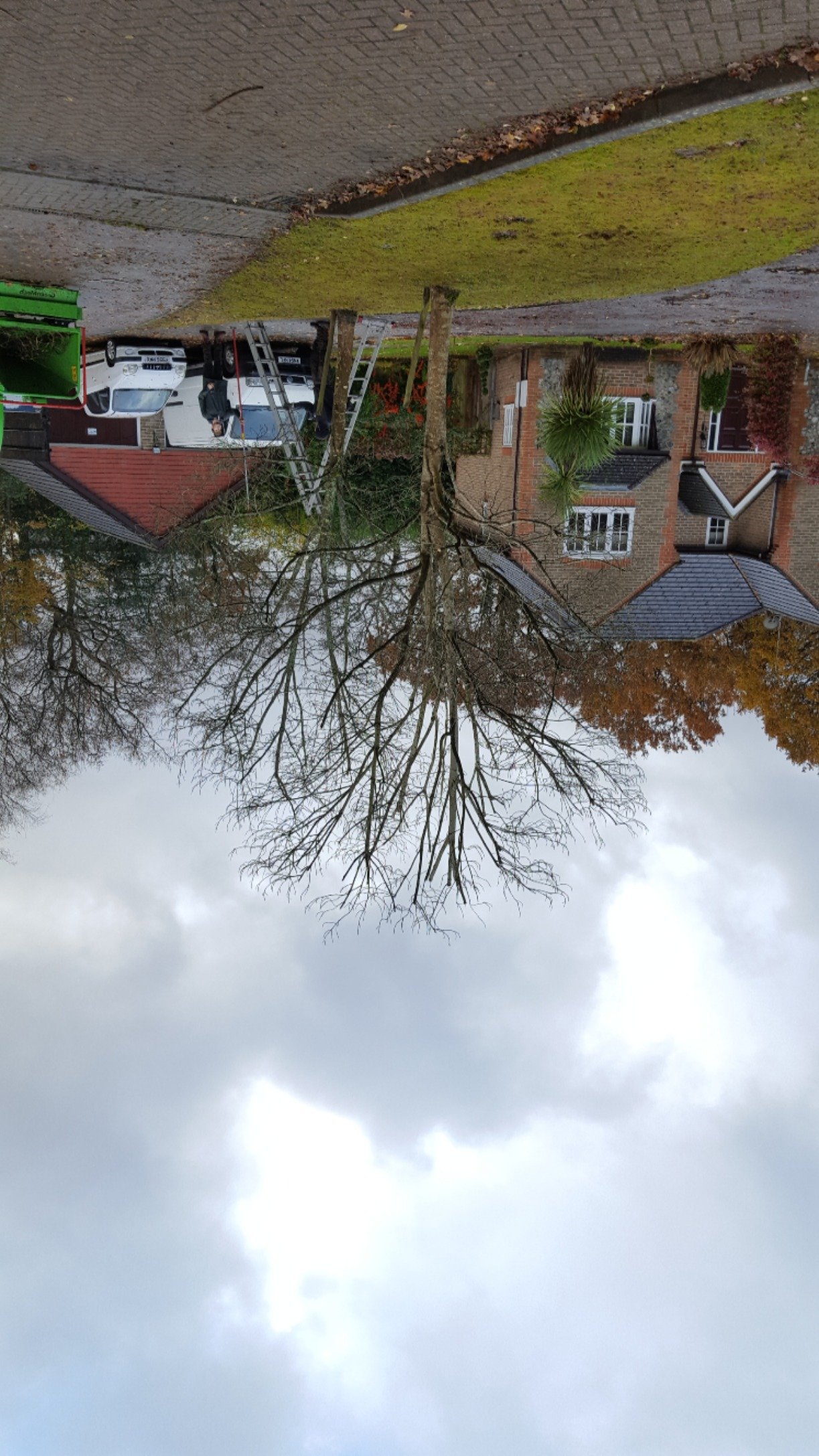 Twoodgate's profile picture. 