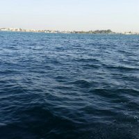 الحديدة (@he5556) Twitter profile photo