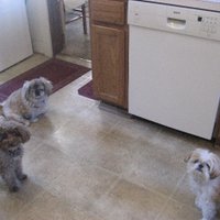 brainybroad (@gabbysmom420) 's Twitter Profile Photo