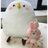 ヒラタッペ 只今、倹約生活中‼️のアイコン