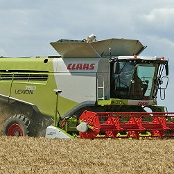 MK_Farming's profile picture. 