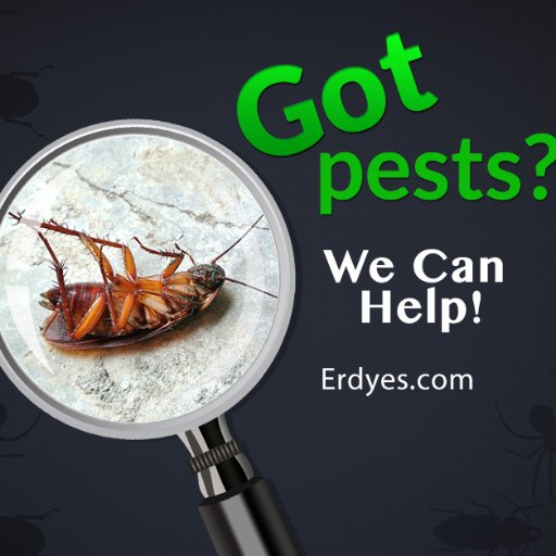 Green Bay Pest Control & Extermination Services.
We help control Bed Bugs, Bats, Ants, Spiders, Bees & More!