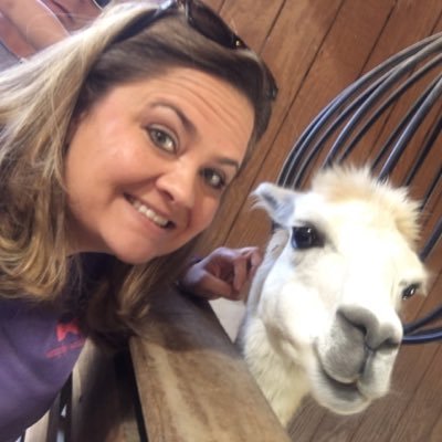 blwright2nd's profile picture. 2nd grade teacher at Meadowlark