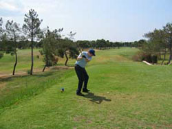 bruinsel's profile picture. Owner of a B&B/gites on the atlantic coast in the Vendee, France