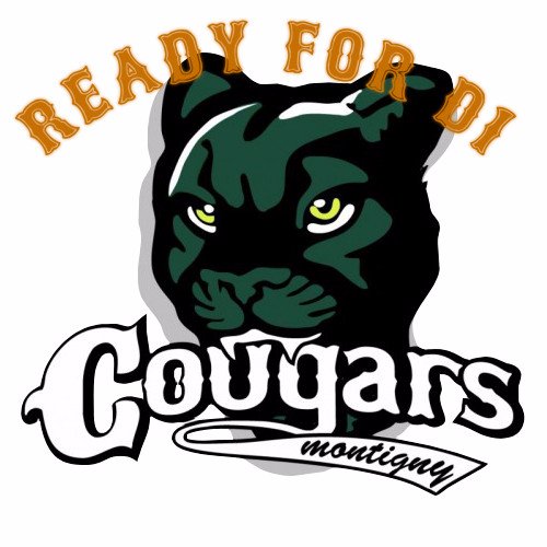 Crée en 1988, le club de baseball/softball de Montigny est devenu en 2015 le plus gros club de France avec 255 licencié(e)s. L'équipe S1 évolue en Division 1.