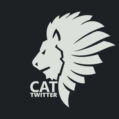 Combat Assault Team Rbxcat Twitter - wildcats roblox at rblxwildcats twitter