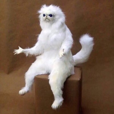 trent_johnsonn's profile picture. Black on black on black on black down to the shoestring.