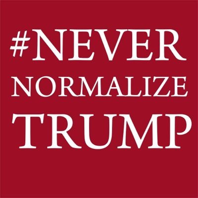 retired ALJ NYSDEC; ret. County Attorney prosecuting child abuse/neglect/juvenile delinquency. Former eldercare coordinator. Trump belongs in PRISON.