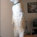 Jack Banner - @muso1985 - Twitter