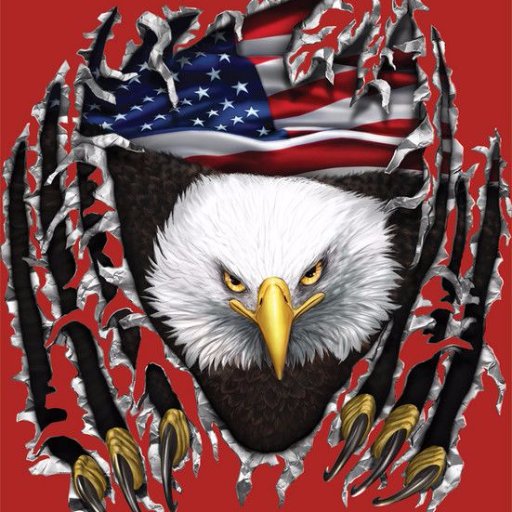 yumadbro2017's profile picture. American Patriot, mixed bag of political views but if you burn a flag, disrespect military or are anti-police just because you can, then you're a dick.#MAGA