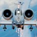 A10CAPITAL (@signalbased) Twitter profile photo A10CAPITAL (@signalbased) Twitter profile photo