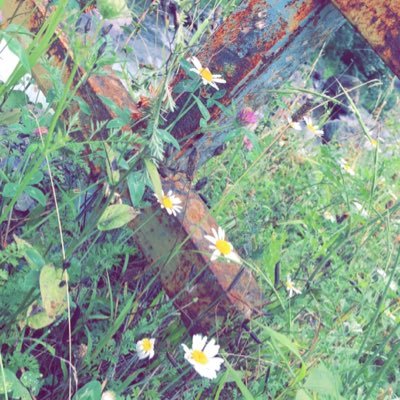 3_norr's profile picture. ربي بشرنـــي بما ( يسرنـــي ) https://t.co/KZIKgB71gz