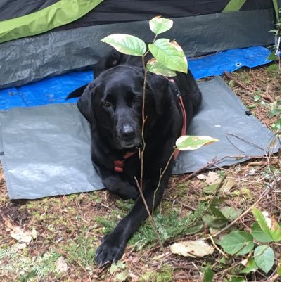 Kevindot1's profile picture. 