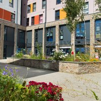 The Beacon (@beaconplymouth) 's Twitter Profile