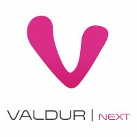 Valdur (@valdures) 's Twitter Profile