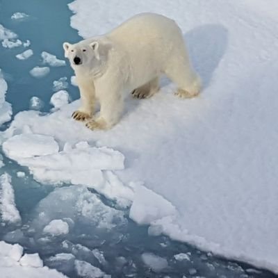 CollittJ's profile picture. 