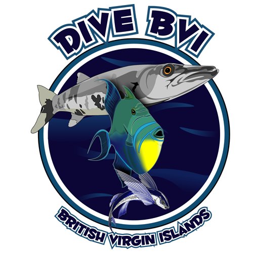 Offering the most experienced & best equipped scuba diving, snorkeling & day trip experiences in the British Virgin Islands. We specialize in fun!