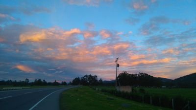 wilhercore's profile picture. HELLO WORLD!!