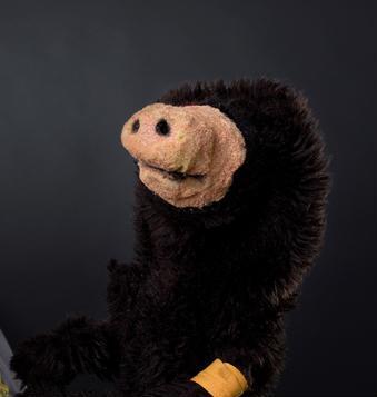 maulwurfn Profile Picture