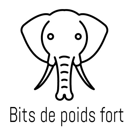 BitsDePoidsFort's profile picture. 