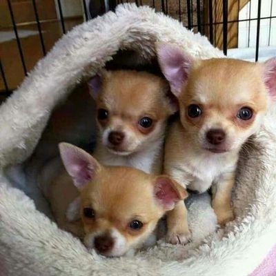 CindyMwandla's profile picture. Go getter!