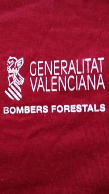 B. forestal en lucha Profile