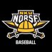NKU Baseball ⚾️ (@NKUNorseBSB) Twitter profile photo
