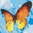 milagrosbri's profile image