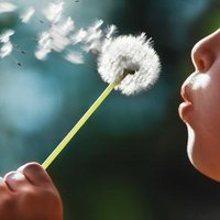 Sarah Horton (@gradualclearing) 's Twitter Profile