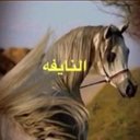 al naifa .. (@100_non1) Twitter
