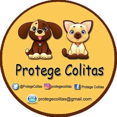 Nuestra Misión es Proteger a los animales 🐶😻en condición de calle. 💛Rescatarlos, 💙Recuperarlos y ❤️Conseguirles un Buen Hogar🏡#DharmaProtegeColitas