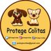 Asoc. Civil Dharma ProtegeColitas (@protegecolitas) Twitter profile photo