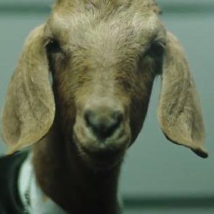 FuckBoiSuprem's profile picture. A small taste of the musings from New York's very own triboro bitch