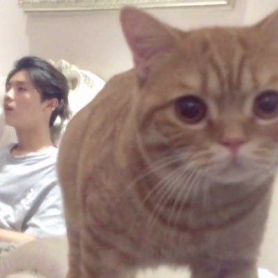 상남자 鹿晗♡ EXO-L 카이 MAMAlineNO.86 NCT127 태용 SF9 로운