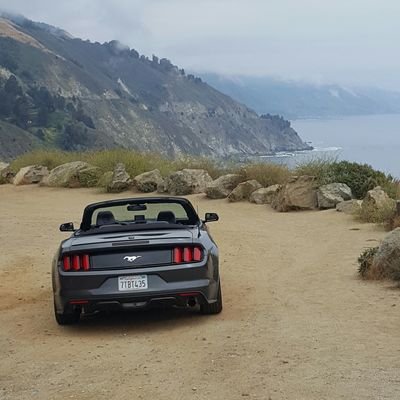 regosham's profile picture. 