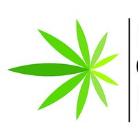 Movimiento Cannábico Mexicano (@movcannamex) 's Twitter Profile Photo