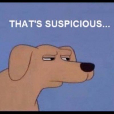 whoknowsferret's profile picture. Not nearly fake enough...