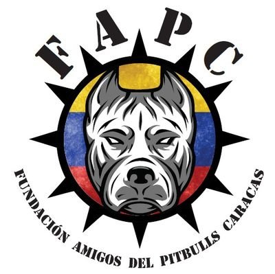 Fundación sin fines de lucro destinada actividades  de la educación cultura rescat y desarrollo social a través del trabajo deportivo  American Pitbulls Terrier