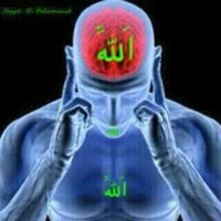 Deny al-Banjari (@dny_ir) 's Twitter Profile
