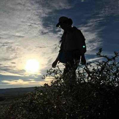 wang_tai's profile picture. 