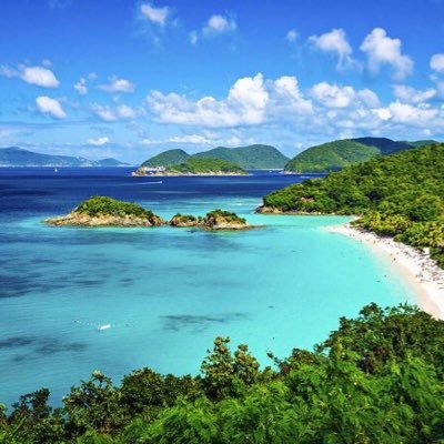 FunkyLemon4's profile picture. Happiness