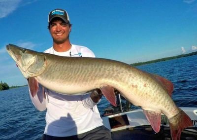 Forrest_Gump3's profile picture. 